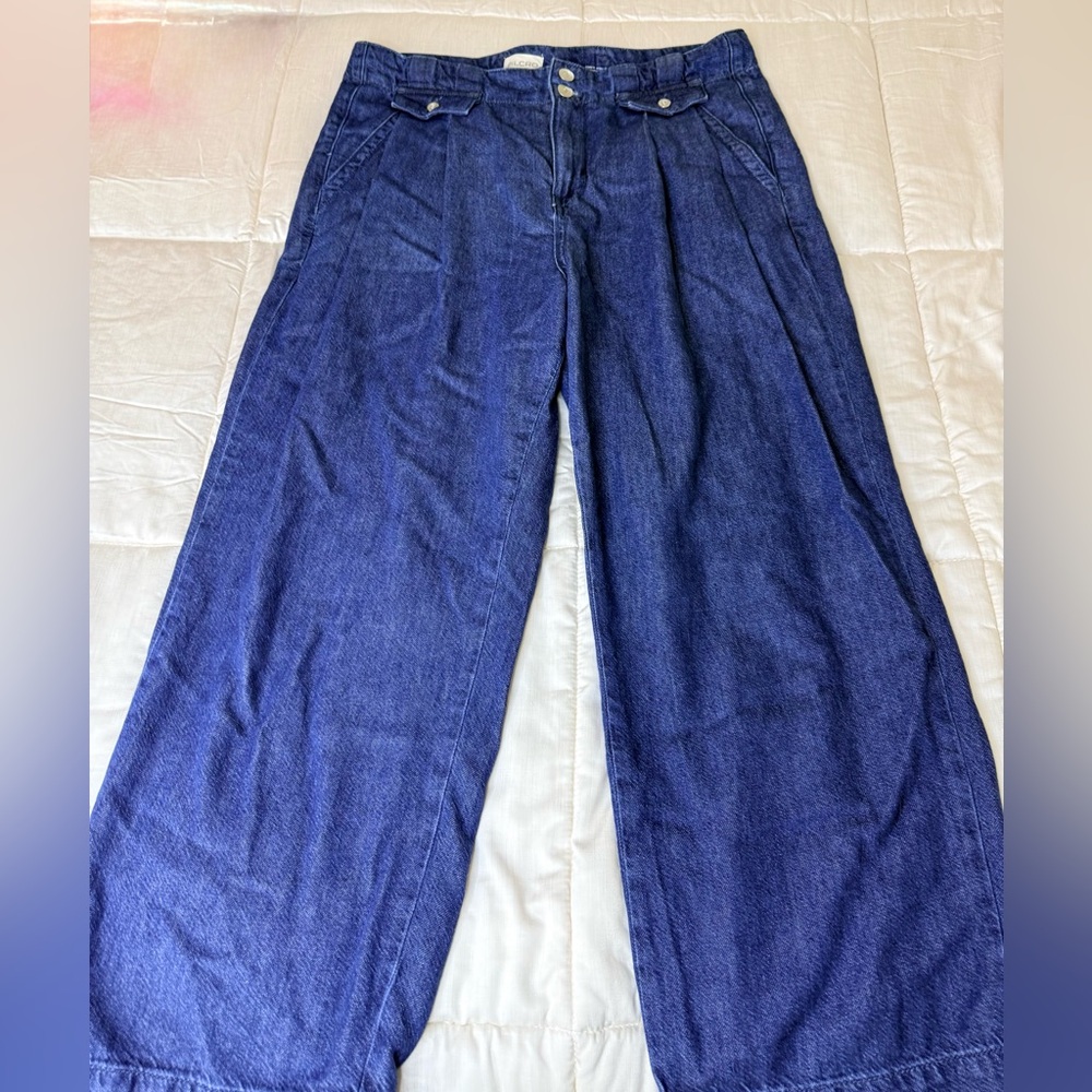 Anthropologie Pilcro Mid-Rise Pleated Trouser denim jean’s preppy baggy 29 EUC - Picture 10 of 16